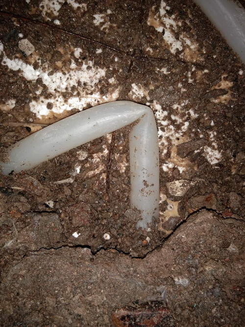 西盟堵点精准查找